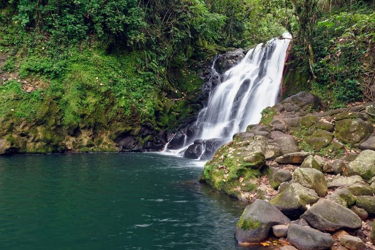 Liril Falls Close-up